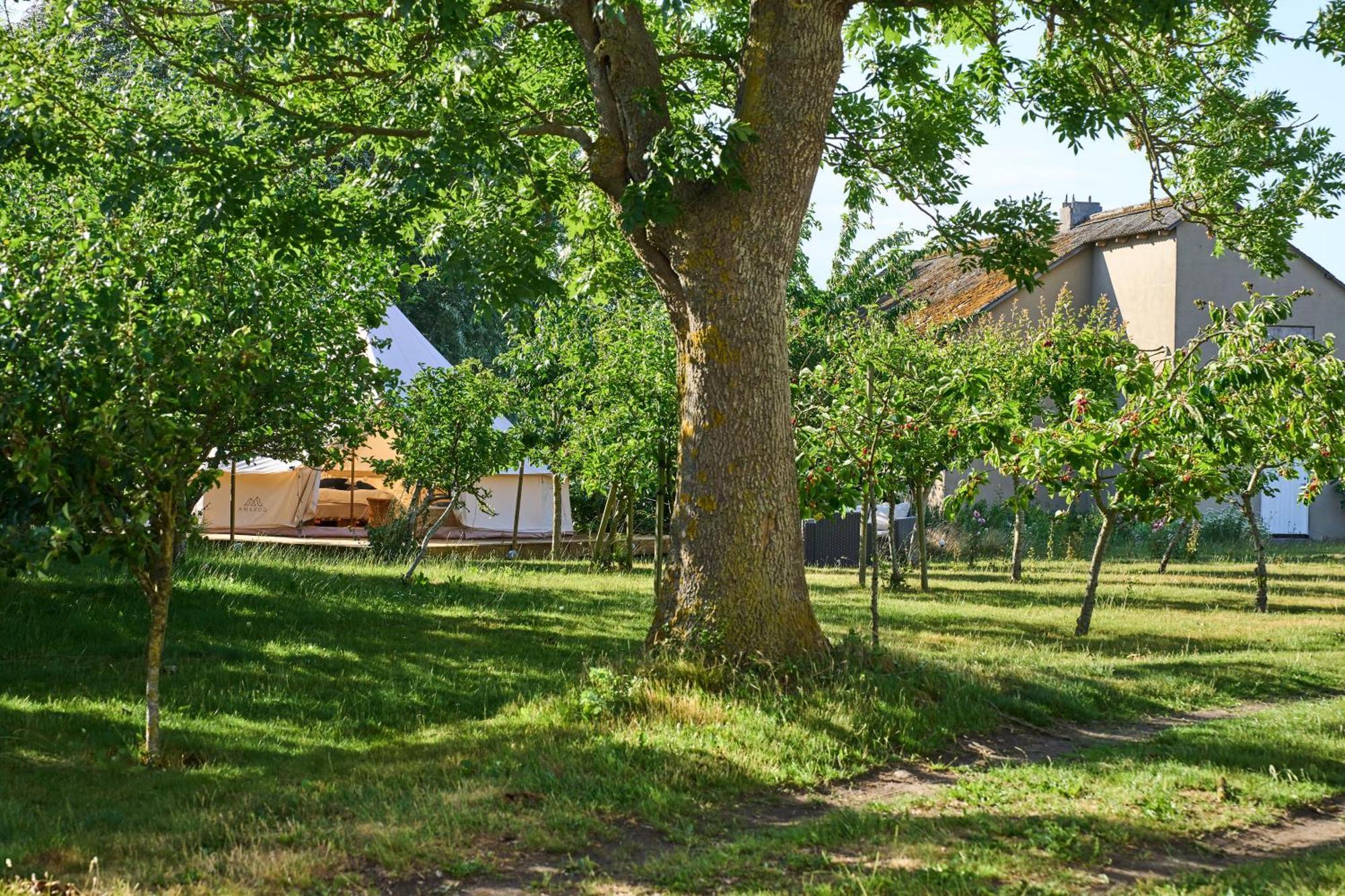 Hotel Hesselgaard Glamping Dalby Exterior foto